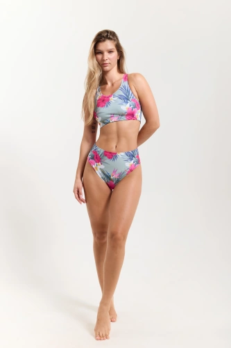 hibiskus PoleAddict2153.webp